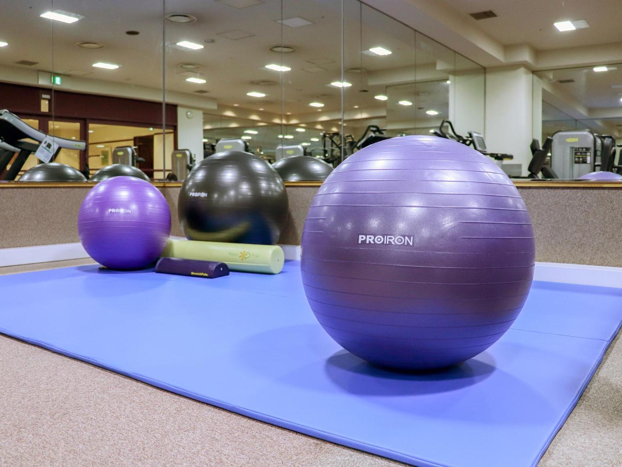 Premier Hotel -Tsubaki- Sapporo Extérieur photo Swiss exercise ball
